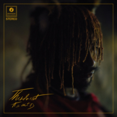 Thundercat - Split Seams/Vikt Hörn It Is What It Is (Red Vinyl) ryhmässä VINYYLI / RnB-Soul @ Bengans Skivbutik AB (5634165)