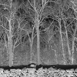 Pile - Sunshine And Balance Beams (Ltd Tra ryhmässä ME SUOSITTELEMME / Perjantain julkaisut / 2025-08-29 @ Bengans Skivbutik AB (5634411)