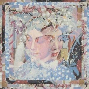 Dutch Uncles - Out Of Touch In The Wild ryhmässä CD @ Bengans Skivbutik AB (5635215)