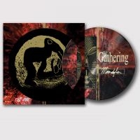 Gathering The - Mandylion (Picture Vinyl Lp) ryhmässä VINYYLI / Kommande / Hårdrock @ Bengans Skivbutik AB (5635321)