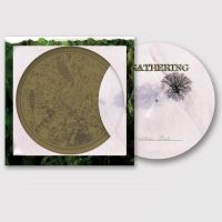 Gathering The - Nighttime Birds (Picture Vinyl Lp) ryhmässä VINYYLI @ Bengans Skivbutik AB (5635322)