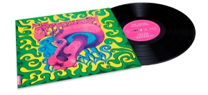 The Sacred Mushroom - The Sacred Mushroom ryhmässä VINYYLI @ Bengans Skivbutik AB (5635482)