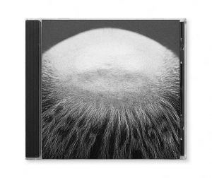 Vasas Flora Och Fauna - Berg I Dalen ryhmässä CD / Kommande / Pop-Rock @ Bengans Skivbutik AB (5635805)