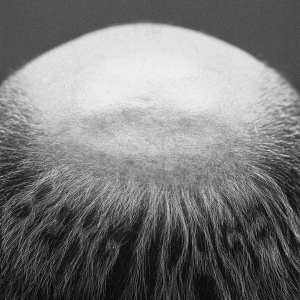 Vasas Flora Och Fauna - Berg I Dagen ryhmässä ME SUOSITTELEMME / Perjantain julkaisut / 2025-10-17 @ Bengans Skivbutik AB (5635805)