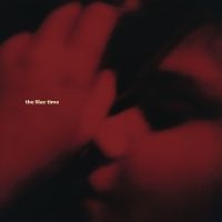 Lilac Time The - Looking For A Day In The Night ryhmässä VINYYLI / Kommande / World Music @ Bengans Skivbutik AB (5636913)