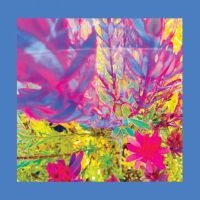 Reds Pinks & Purples The - The Past Is A Garden I Never Fed (S ryhmässä VINYYLI @ Bengans Skivbutik AB (5636951)