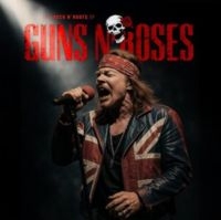 Guns N Roses - The Rock N' Roots Of Guns N Roses ryhmässä VINYYLI / Kommande / Hårdrock @ Bengans Skivbutik AB (5636974)