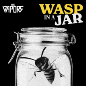 The Vapors - Wasp In A Jar ryhmässä CD / Punk @ Bengans Skivbutik AB (5637093)