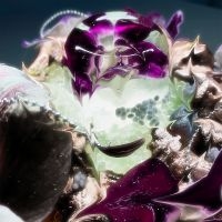 Dragongirl - Hot Blue ryhmässä ME SUOSITTELEMME / Perjantain julkaisut / 2025-10-10 @ Bengans Skivbutik AB (5638988)