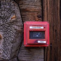 Reolo - Dystopi Delete ryhmässä ME SUOSITTELEMME / Perjantain julkaisut / 2025-10-10 @ Bengans Skivbutik AB (5639003)
