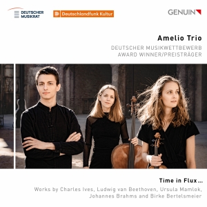 Amelio Trio - Time In Flux… ryhmässä CD / Kommande / Klassiskt @ Bengans Skivbutik AB (5639548)