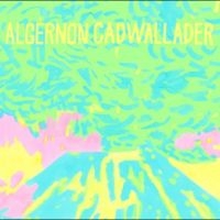 Algernon Cadwallader - Trying Not To Have A Thought ryhmässä CD / Kommande / Pop-Rock @ Bengans Skivbutik AB (5639620)