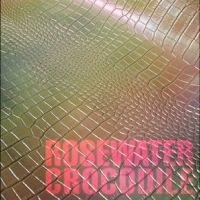 Cousin Tony's - Brand New Firebird - Rosewater Croc ryhmässä VINYYLI / Kommande / Pop-Rock @ Bengans Skivbutik AB (5639631)