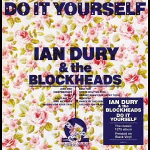 Ian Dury - Do It Yourself ryhmässä VINYYLI @ Bengans Skivbutik AB (5639680)
