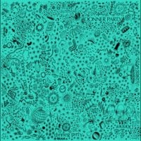 Donner Party - Donner Party ryhmässä ME SUOSITTELEMME / Startsida - Vinyl Nyheter & Kommande @ Bengans Skivbutik AB (5639686)