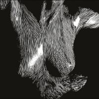 Oceansize - Self-Preserved While The Bodies Flo ryhmässä VINYYLI / Kommande / Pop-Rock @ Bengans Skivbutik AB (5639899)