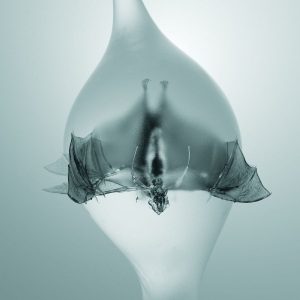 Unprocessed - Angel ryhmässä ME SUOSITTELEMME / Perjantain julkaisut / 2025-10-31 @ Bengans Skivbutik AB (5639935)