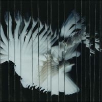 Scaler - Endlessly ryhmässä CD / Kommande / Pop-Rock @ Bengans Skivbutik AB (5639961)