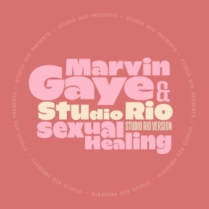 Marvin Gaye & Studio Rio - Sexual Healing ryhmässä VINYYLI @ Bengans Skivbutik AB (5640370)
