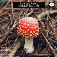 Not Normal - Modærn Qualitet ryhmässä CD / Kommande / Jazz @ Bengans Skivbutik AB (5640792)