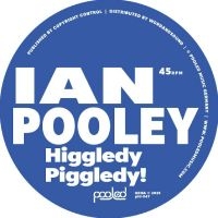 Ian Pooley - Higgledy Piggledy! ryhmässä VINYYLI / Kommande / Pop-Rock @ Bengans Skivbutik AB (5640921)