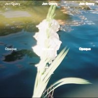 Jon Gravy - Opaque ryhmässä VINYYLI / Kommande / Pop-Rock @ Bengans Skivbutik AB (5640925)