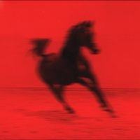 Red Rum Club - Buck ryhmässä VINYYLI / Kommande / Pop-Rock @ Bengans Skivbutik AB (5641051)