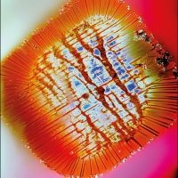 Mac Declos - Nothing Stands Still ryhmässä ME SUOSITTELEMME / Perjantain julkaisut / 2025-10-03 @ Bengans Skivbutik AB (5641579)