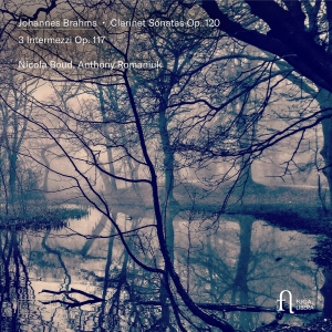 Johannes Brahms - Clarinet Sonatas, Op. 120 & 3 Inter ryhmässä CD / Kommande / Klassiskt @ Bengans Skivbutik AB (5641993)