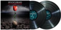 SpockS Beard - Archaeoptimist The (2 Lp Black Viny ryhmässä VINYYLI / Kommande / Pop-Rock @ Bengans Skivbutik AB (5642315)