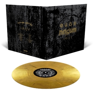 Nasum - Shift (Metallic Gold Marbled Vinyl LP) ryhmässä ME SUOSITTELEMME / Perjantain julkaisut / 2025-10-24 @ Bengans Skivbutik AB (5642359)