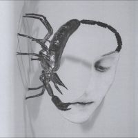 Tortoise - Touch ryhmässä CD / Kommande / Pop-Rock @ Bengans Skivbutik AB (5642365)