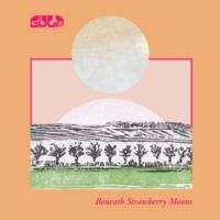 Gulp - Beneath Strawberry Moons ryhmässä ME SUOSITTELEMME / Startsida - Vinyl Nyheter & Kommande @ Bengans Skivbutik AB (5642597)