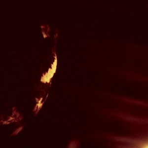 Skepticism - Stormcrowfleet (30Th Anniversary Ed ryhmässä CD @ Bengans Skivbutik AB (5642625)