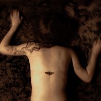 Svart Ridå - Aponia ryhmässä VINYYLI / Kommande / Pop-Rock @ Bengans Skivbutik AB (5642645)