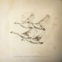 Josefine Cronholm Kirk Knuffke Mfl - Near The Pond: Wild Geese (180G.) ryhmässä VINYYLI / Jazz @ Bengans Skivbutik AB (5643010)