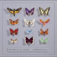 Eulberg Dominik - Lepidoptera ryhmässä CD / Kommande / Pop-Rock @ Bengans Skivbutik AB (5643085)