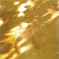 Svaneborg Kardyb - Haven ryhmässä VINYYLI / Kommande / Jazz @ Bengans Skivbutik AB (5643105)