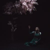 Daedric - As The Light Left ryhmässä VINYYLI / Kommande / Pop-Rock @ Bengans Skivbutik AB (5643434)