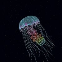 The Drowning World - Passive Margins ryhmässä ME SUOSITTELEMME / Startsida - Vinyl Nyheter & Kommande @ Bengans Skivbutik AB (5643494)