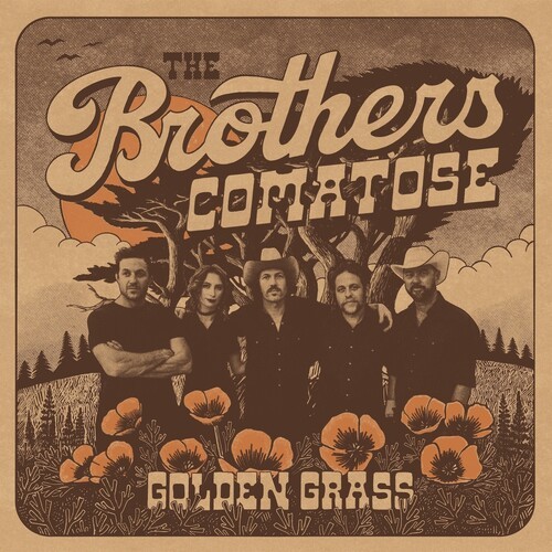 The Brothers Comatose - Golden Grass ryhmässä VINYYLI / Myydyimmät @ Bengans Skivbutik AB (5643584)