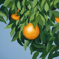 Tyler Ballgame - For The First Time Again (Orange Ma ryhmässä VINYYLI / Kommande / Pop-Rock @ Bengans Skivbutik AB (5644251)