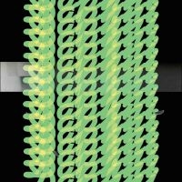 Daphni - Jiaolong ryhmässä ME SUOSITTELEMME / Perjantain julkaisut / 2025-10-24 @ Bengans Skivbutik AB (5644328)