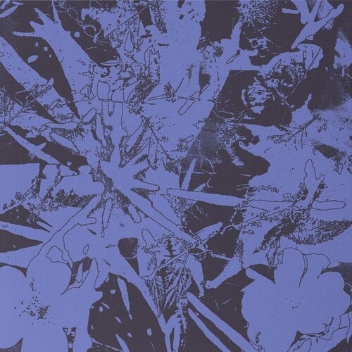 Plants Heal - Forest Dwellers ryhmässä VINYYLI / Pop-Rock @ Bengans Skivbutik AB (5644550)