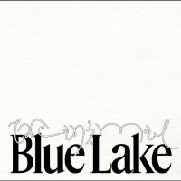 Blue Lake - The Animal ryhmässä VINYYLI / Nyheter / Pop-Rock @ Bengans Skivbutik AB (5644853)