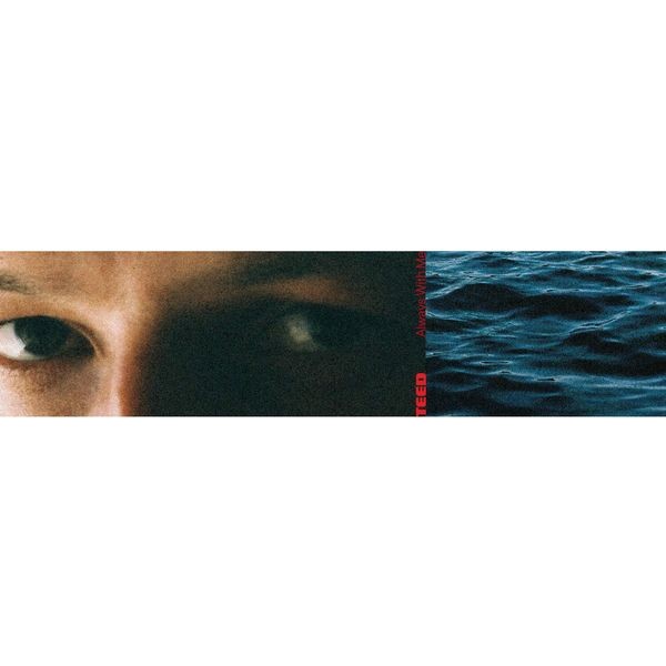 Teed - Always With Me (Black Lp) ryhmässä VINYYLI / Pop-Rock @ Bengans Skivbutik AB (5645216)