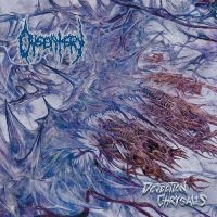 Dysentery - Dejection Chrysalis ryhmässä CD / Kommande / Hårdrock @ Bengans Skivbutik AB (5645295)