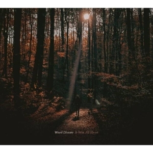 Ward Dhoore - It Was All Heart ryhmässä CD @ Bengans Skivbutik AB (5645430)