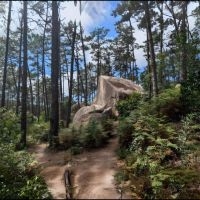 Parajekt - Parajekt ryhmässä VINYYLI / Kommande / Pop-Rock @ Bengans Skivbutik AB (5645559)