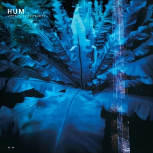 Hum - Downwards Is Heavenward ryhmässä VINYYLI / Pop-Rock @ Bengans Skivbutik AB (5645789)